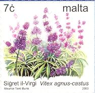 The Virgin Bush (Vitex agnus-castus)