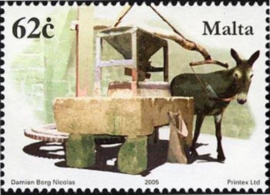 Mule on treadmill grinding flour