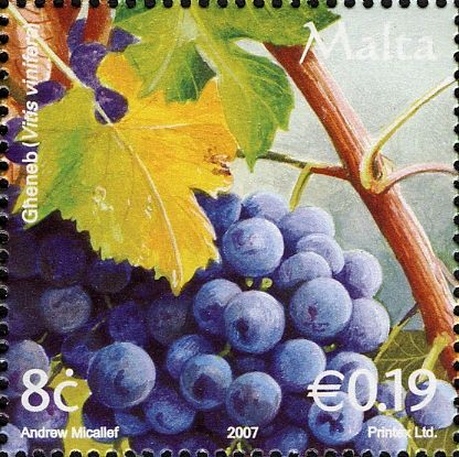 Grapes (Viris vinifera)