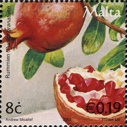 Pomegranates (Punica granatum)