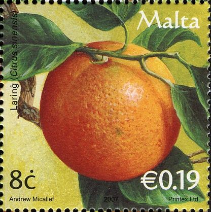 Orange (Citrus sinensis)