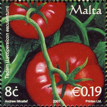 Tomatoes (Lycopersicon esculentum)