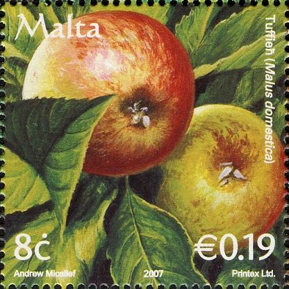 Apples (Malus domestica)