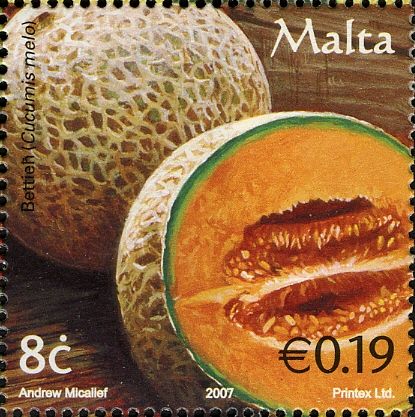 Cantaloupe Melon (Cucumis melo)