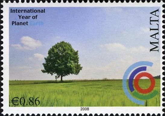 Single tree growing in field