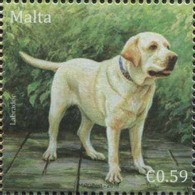 Labrador