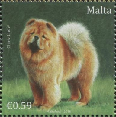 Chow Chow