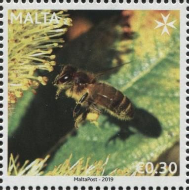 Apiculture in Malta