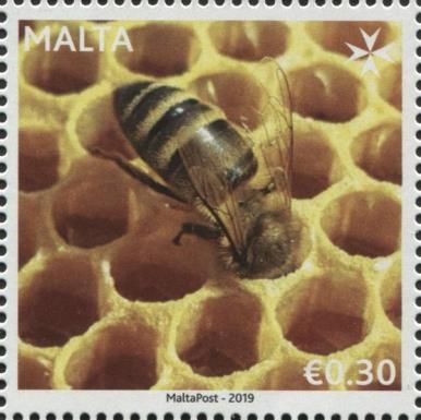 Apiculture in Malta