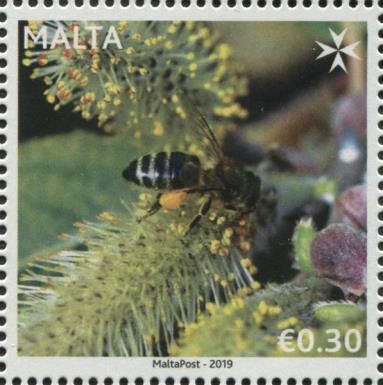 Apiculture in Malta