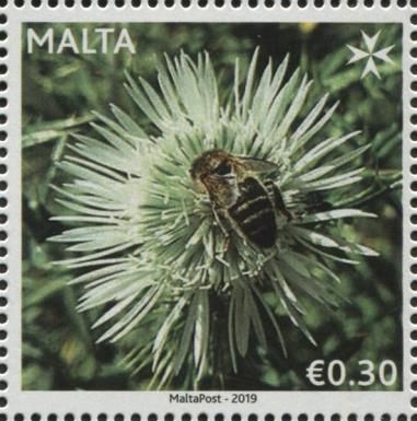 Apiculture in Malta