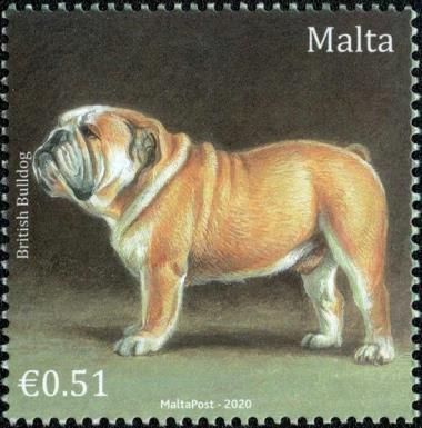 British Bulldog
