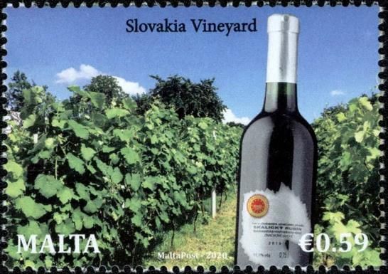 Vineyard in Slovakia