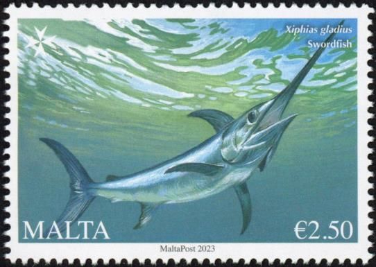 Swordfish (Xiphias gladius)