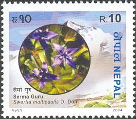 Biodiversity series - Serma Guru