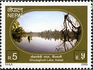 Ghodaghodi Lake