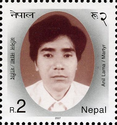 25 Martyrs of Janaandolan-Two (Democratic Movement - 2) - An