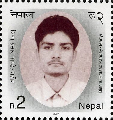 25 Martyrs of Janaandolan-Two (Democratic Movement - 2) - Bi