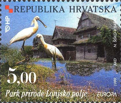 Nature Park Lonjsko Polje Lowlands, Eurasian Spoonbill