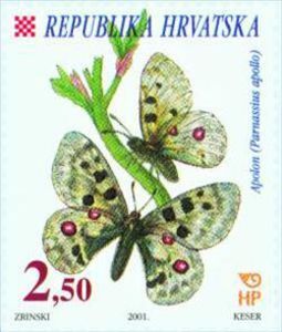 Apollo (Parnassius apollo)