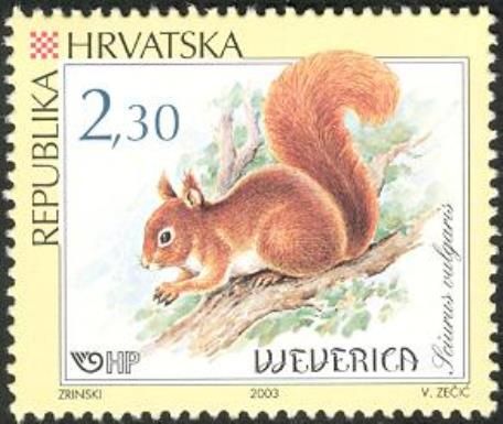 Eurasian Red Squirrel (Sciurus vulgaris)