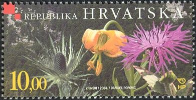 Flowers in Risnjak National Park