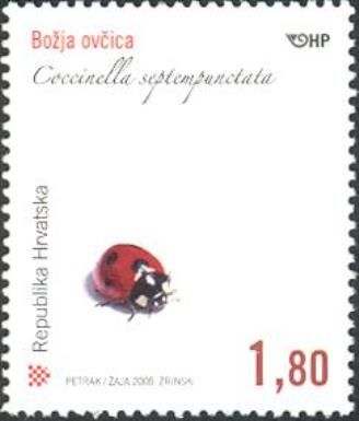 Seven-Spot Ladybird (Coccinella septempunctata)