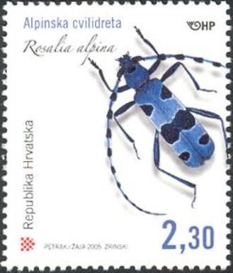 Rosalia Longicorn (Rosalia alpina)