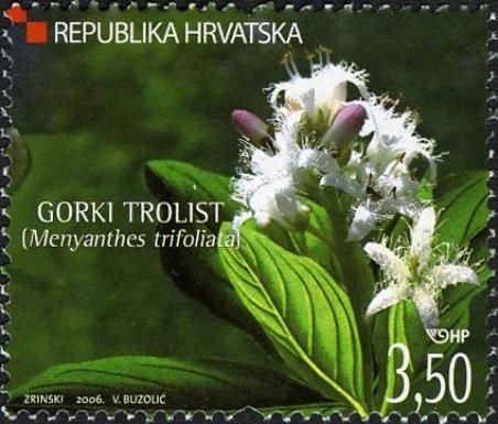 Buckbean or bogbean