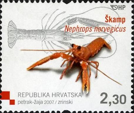 Norway Lobster (Nephrops norvegicus)