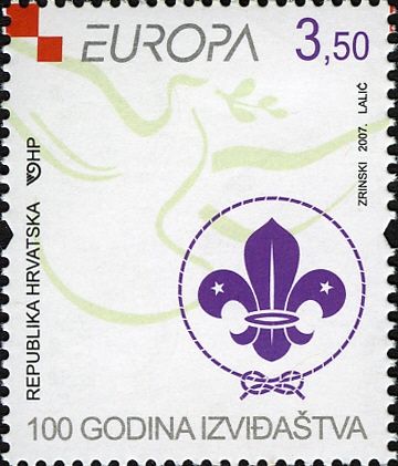 100 Years of Scouting