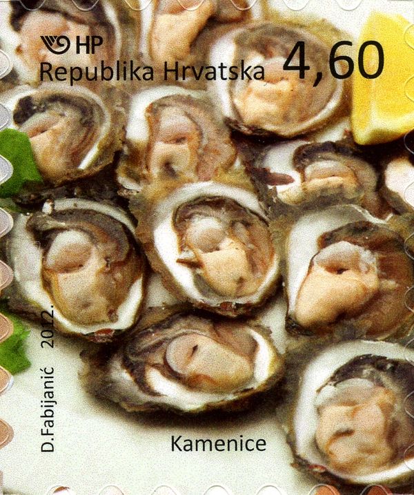 Oyster shells