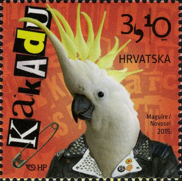 Sulphur-crested Cockatoo (Cacatua galerita)