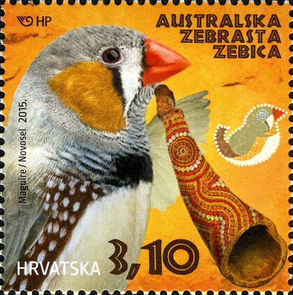 Zebra Finch (Poephila guttata)