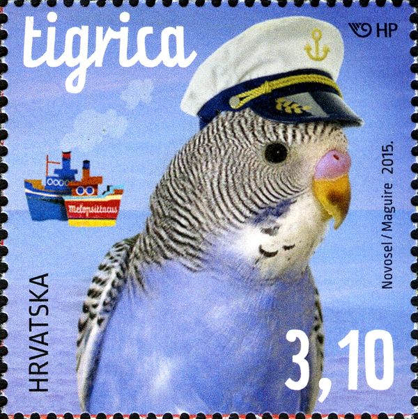 Budgerigar (Melopsittacus undulatus)