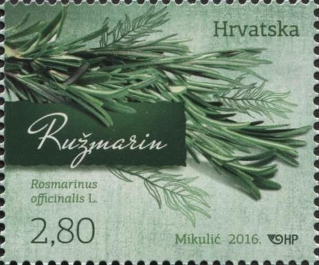 Rosmarinus officinalis L.