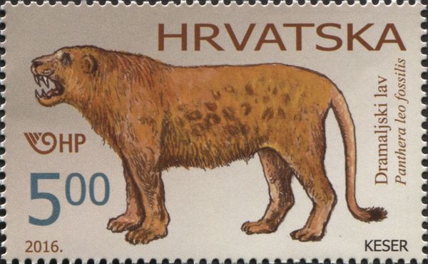 Dramaljsko Lion