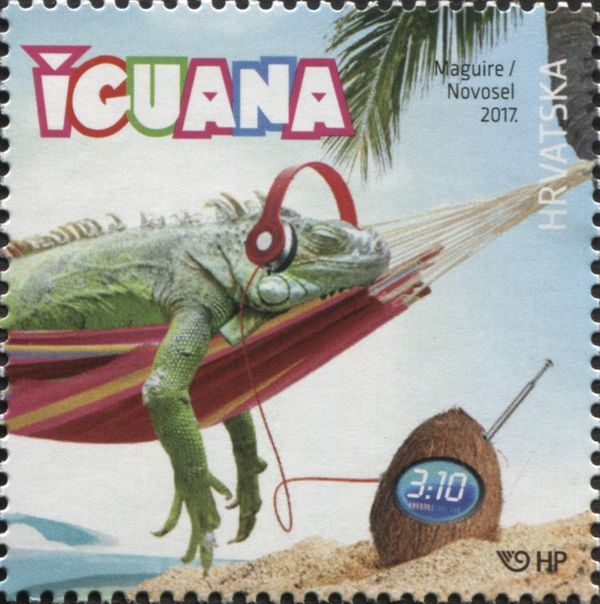 Green Iguana (Iguana iguana) in a Hammock with Headphones