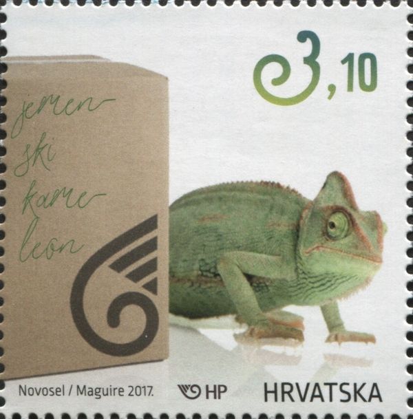 Veiled Chameleon (Chamaeleo calyptratus)