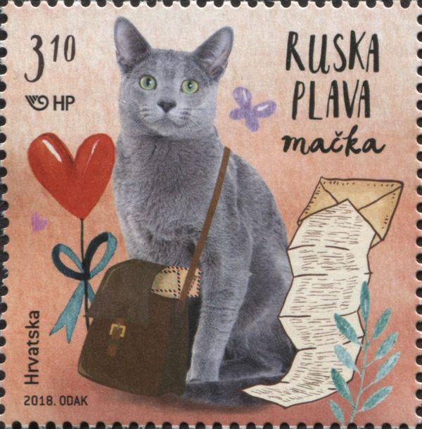 Russian Blue