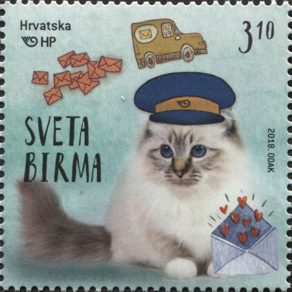 The Sacred Cat Of Burma