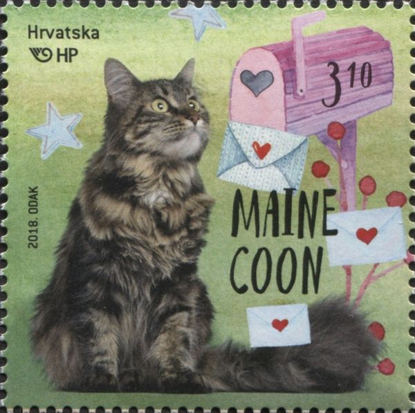 Maine Coon
