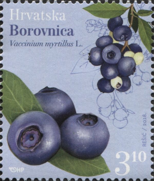 Fruits & Nuts: Bilberries