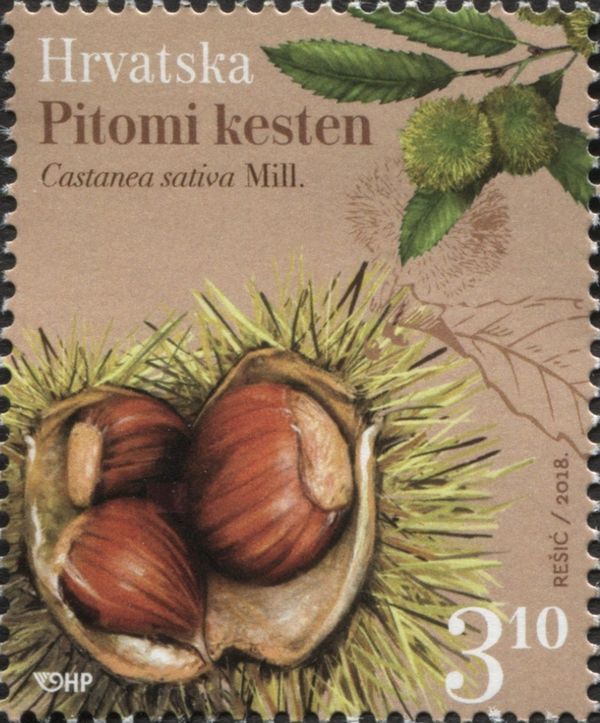 Fruits & Nuts : Chestnuts