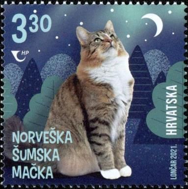 Norwegian Forest Cat