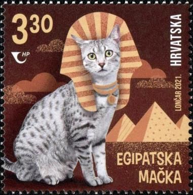 Egyptian Cat