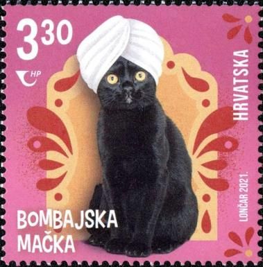 Bombay Cat
