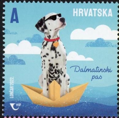 Dalmatian