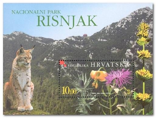 Lynx in Risnjak National Park
