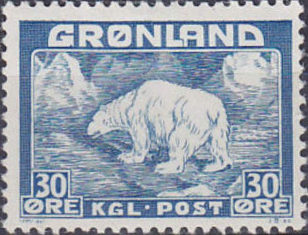 Polar Bear (Ursus maritimus)
